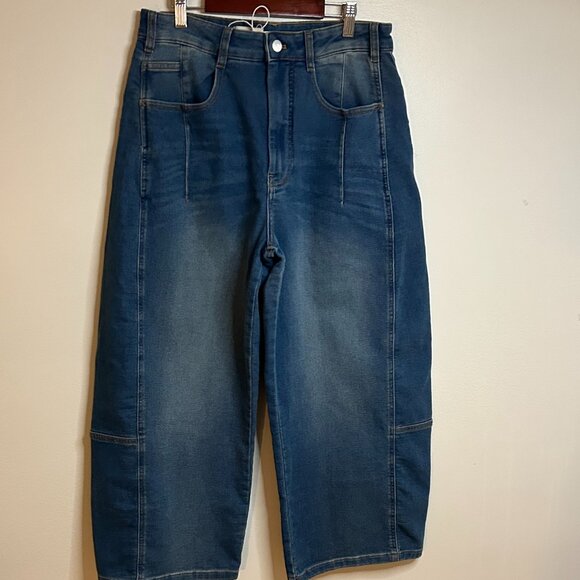 The Kenna Mid-Rise Heritage Barrel Jeans by Pilcro: Denim Vtg Blue Wash Sz 30 - Picture 3 of 12